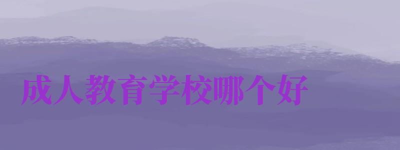 成人教育學(xué)校哪個好（成人教育哪所學(xué)校好）