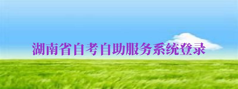 湖南省自考自助服務(wù)系統(tǒng)登錄（湖南省自考自助服務(wù)系統(tǒng)登錄官網(wǎng)）