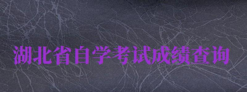 湖北省自學考試成績查詢（湖北省自學考試成績查詢?nèi)肟冢?