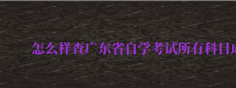 怎么樣查廣東省自學考試所有科目成績查詢