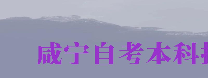 咸寧自考本科報(bào)名（咸寧自考本科報(bào)名官網(wǎng)入口網(wǎng)址）