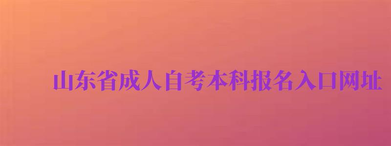 山東省成人自考本科報名入口網(wǎng)址